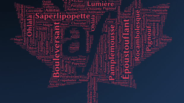 Journee Internationale des profs de Francais